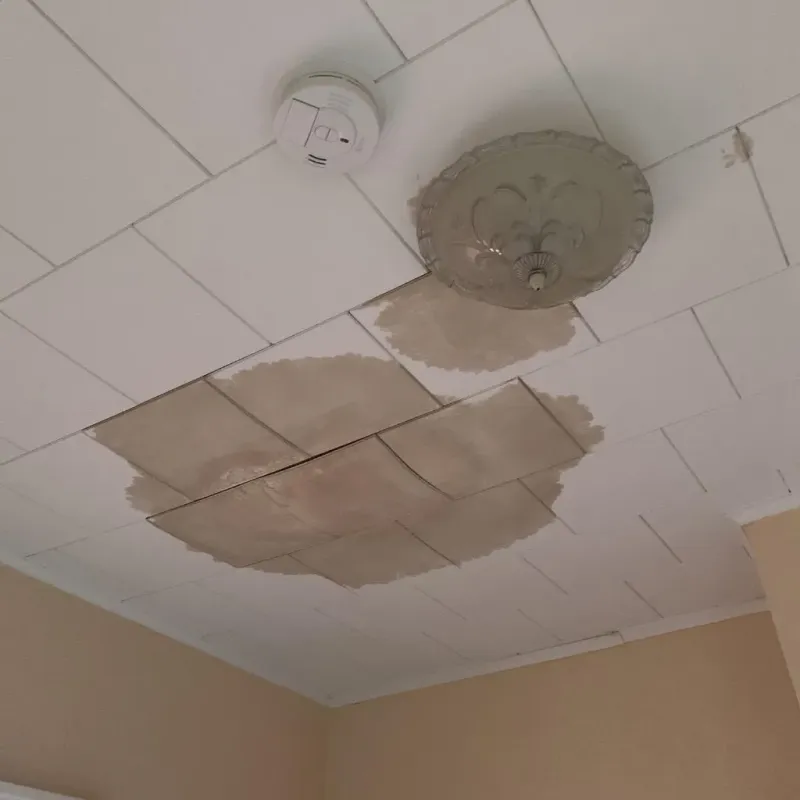 Ceiling Water Damage Repair in Sappington, MO